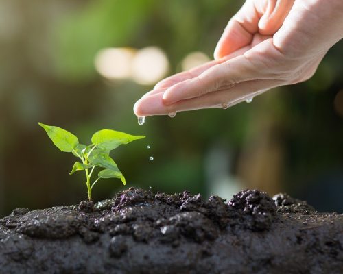 environment management